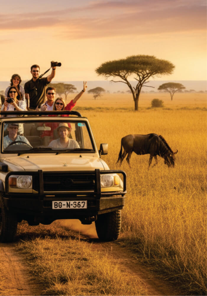 People on a safari in an open land cruiser with a wildebeest in the grasslands.