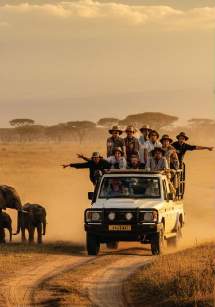 Group of people on an safari land cruiser journey with elephants in the background