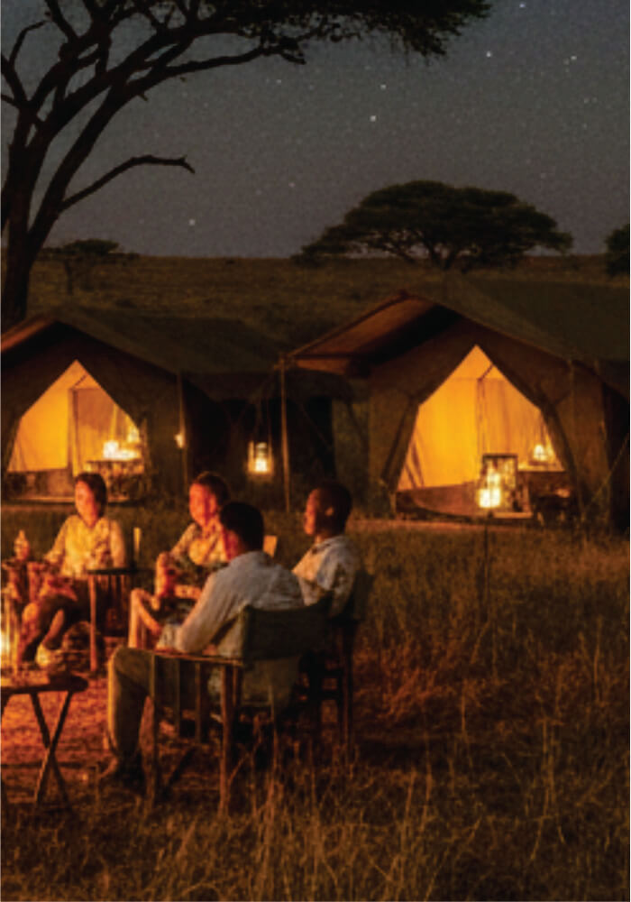 People sitting around a campfire at night in a safari setting with tents and stars visible.