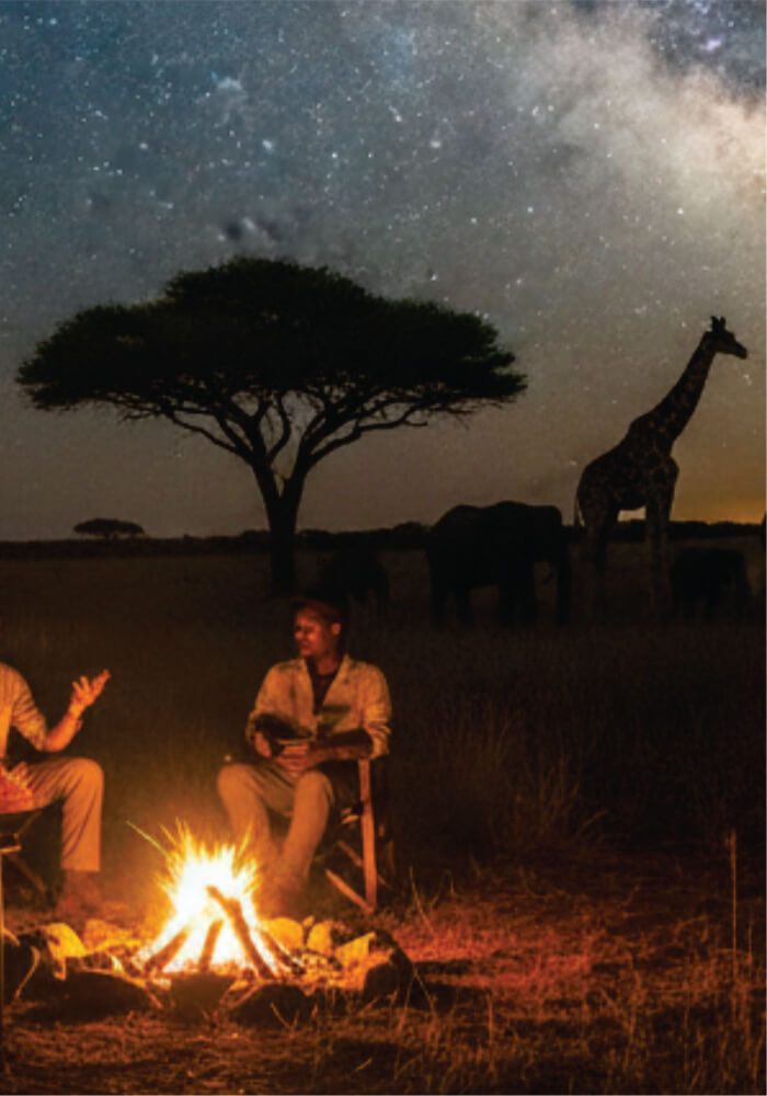 Two people sitting by a campfire under a starry sky with a giraffe in the background.