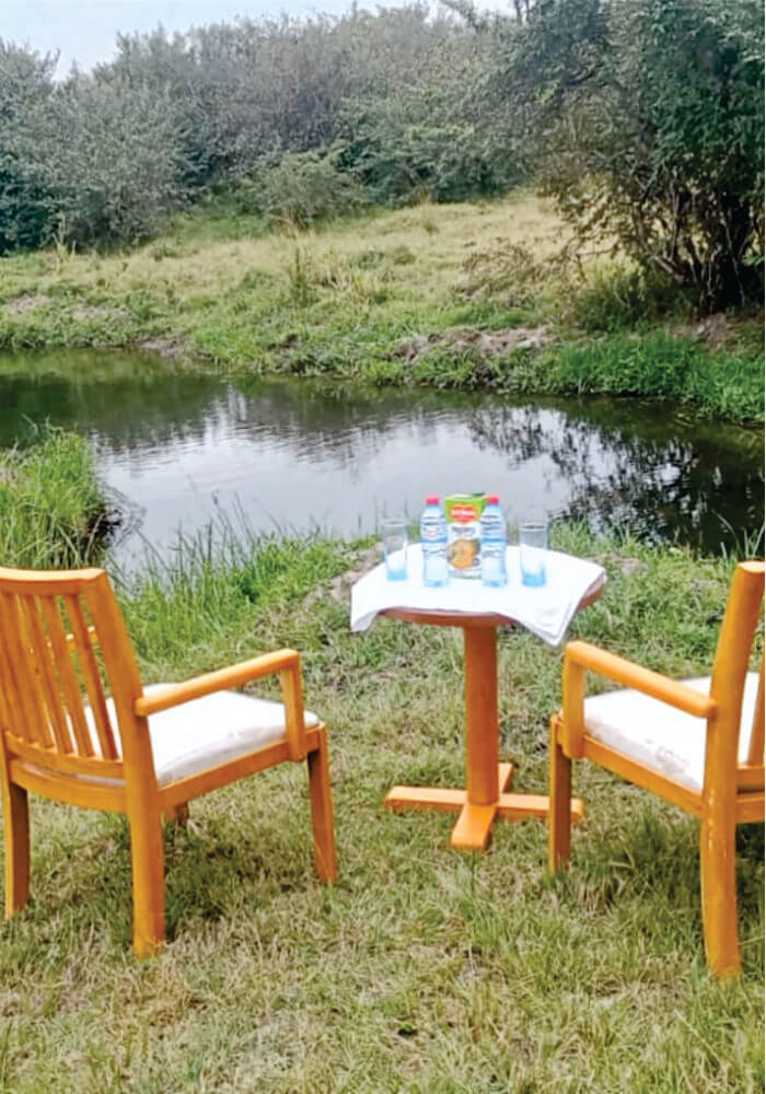 How to Find the Best Masai Mara Hotels for Sale