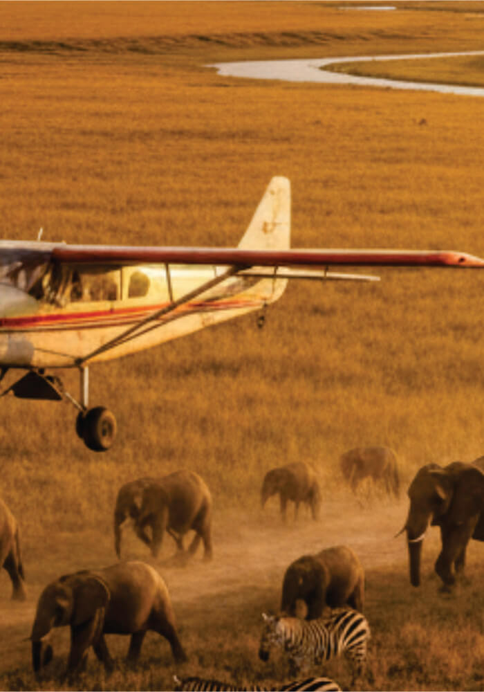 Small airplane flying over a savannah with elephants and zebras below