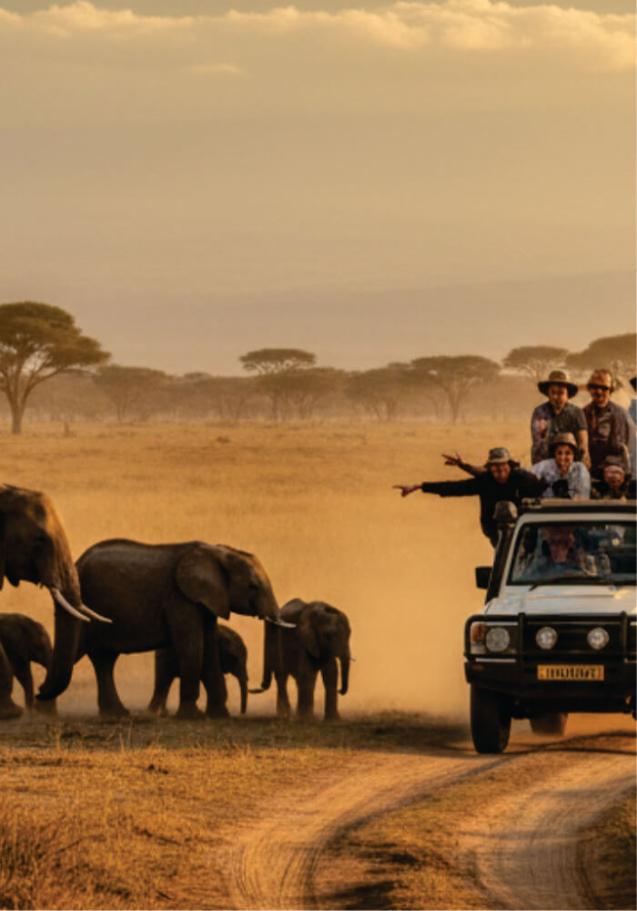 Safari land cruiser with tourists observing elephants in a desert landscape