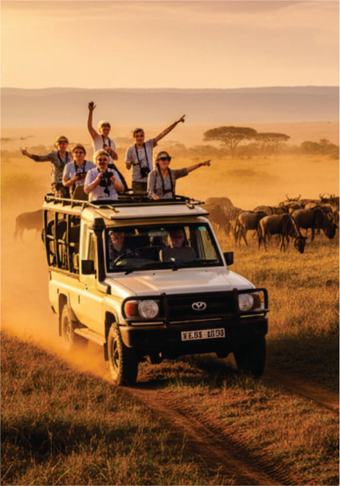Group of people on an safari adventure in a desert landscape with a land cruiser vehicle and animals.