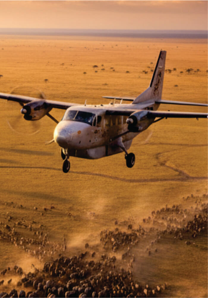 Small propeller airplane flying over a desert landscape with a warm color tone.