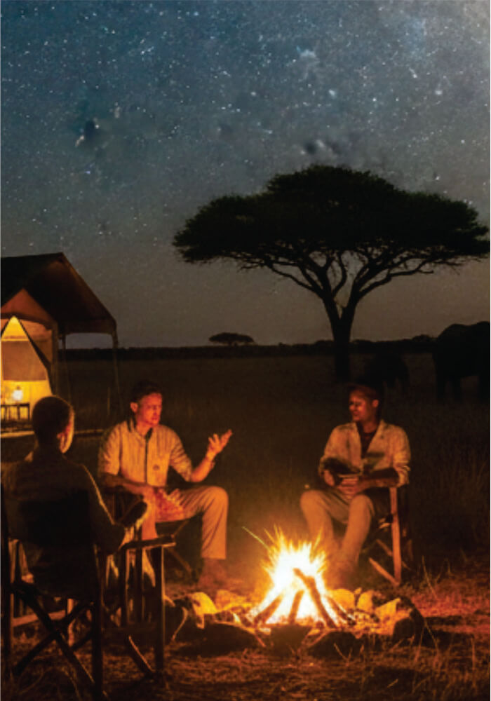 People sitting around a campfire under a starry sky with a tree and tent in the background.