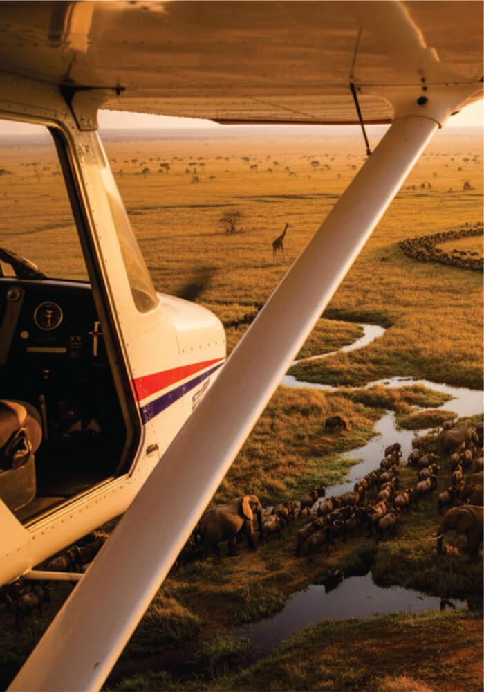 Helicopter view of a savannah with giraffes and elephants