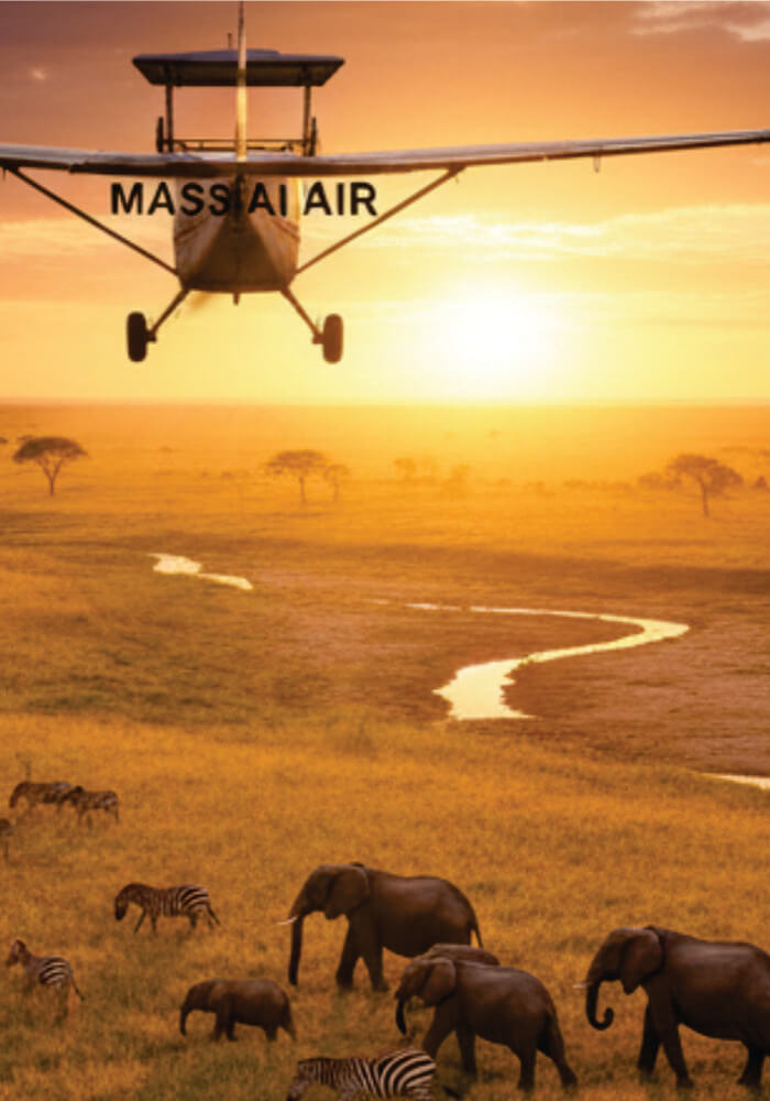 Airplane labeled 'Massai Air' flying over a savannah with elephants and zebras at sunset.