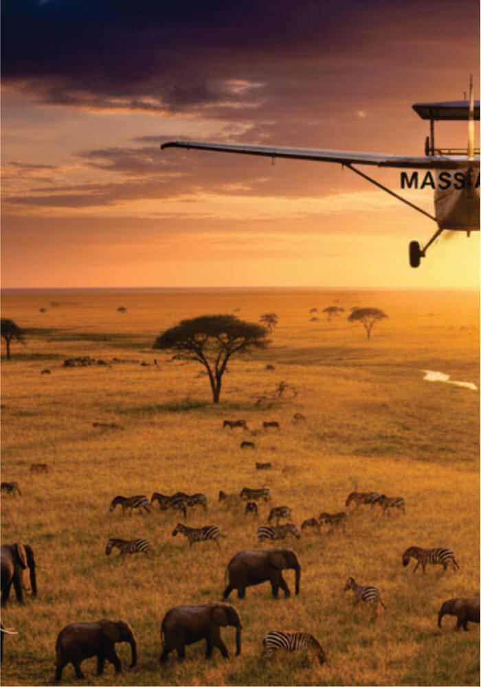 Aerial view of a safari scene with elephants, zebras, and a helicopter over a grassy plain at sunset.